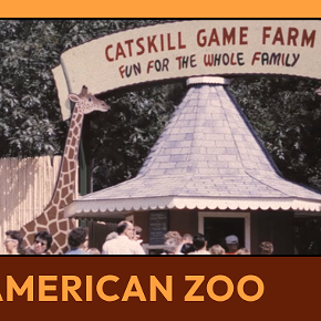 Image: Woodstock Film Festival American Zoo Screening + Q&A