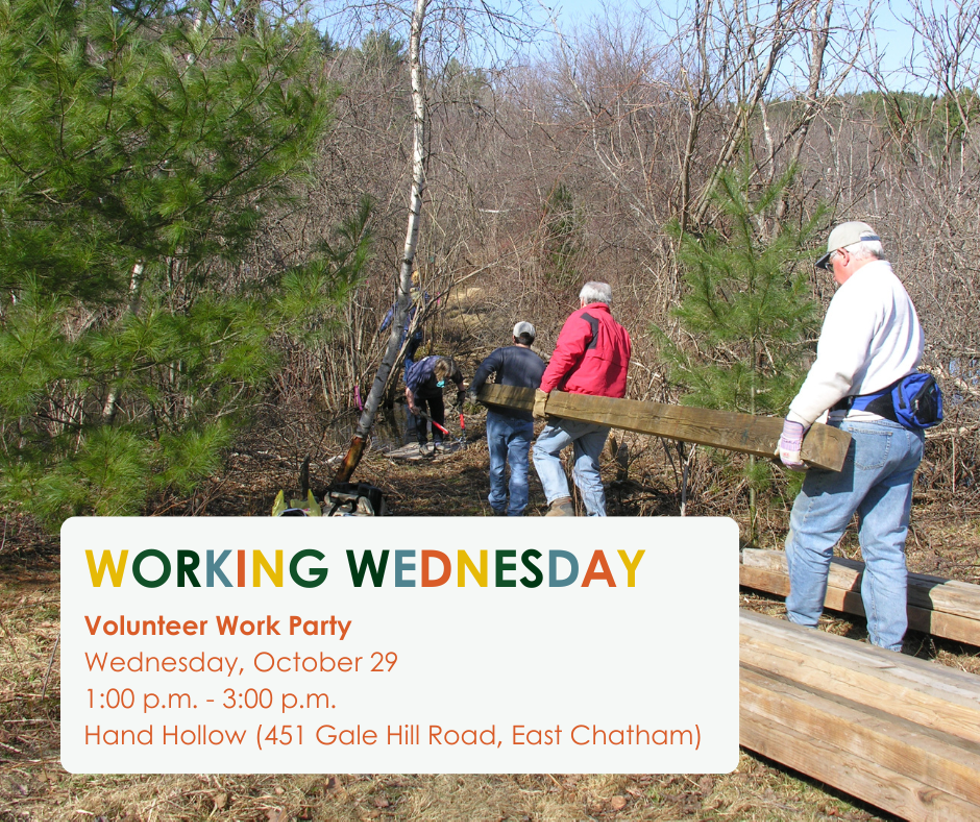 event_post_working_wednesday.png